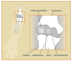 Image related to Elbow Fractures | Houston Fracture Treatment